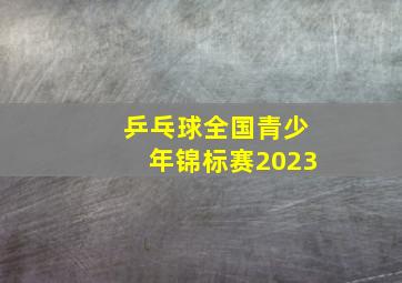 乒乓球全国青少年锦标赛2023