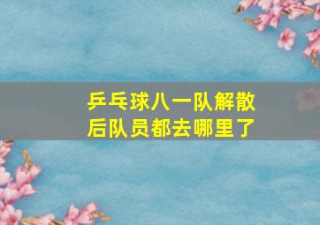 乒乓球八一队解散后队员都去哪里了