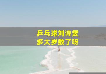 乒乓球刘诗雯多大岁数了呀