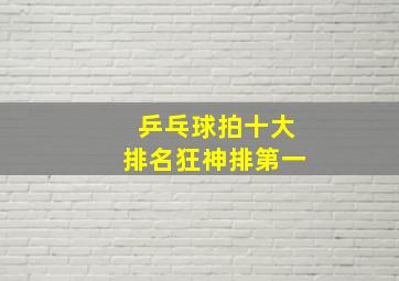 乒乓球拍十大排名狂神排第一