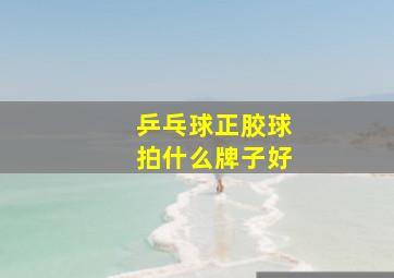 乒乓球正胶球拍什么牌子好