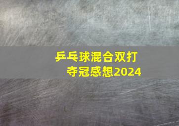 乒乓球混合双打夺冠感想2024