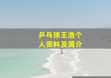 乒乓球王浩个人资料及简介