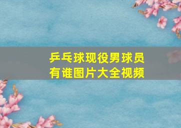 乒乓球现役男球员有谁图片大全视频