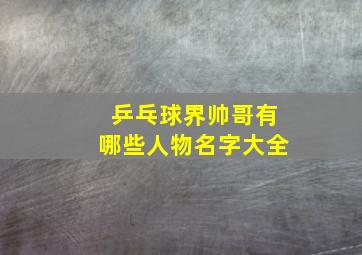 乒乓球界帅哥有哪些人物名字大全