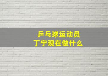 乒乓球运动员丁宁现在做什么