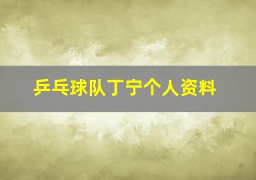 乒乓球队丁宁个人资料