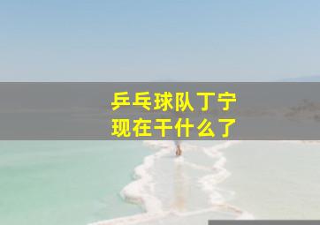 乒乓球队丁宁现在干什么了