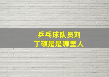 乒乓球队员刘丁硕是是哪里人