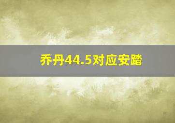 乔丹44.5对应安踏