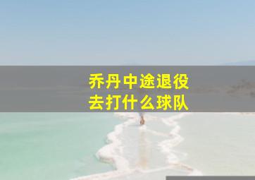 乔丹中途退役去打什么球队