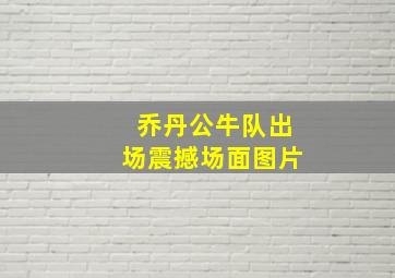 乔丹公牛队出场震撼场面图片