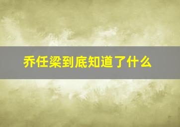 乔任梁到底知道了什么