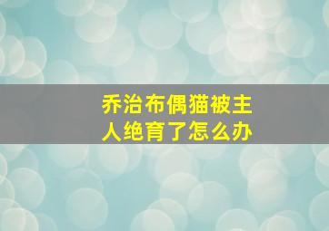 乔治布偶猫被主人绝育了怎么办