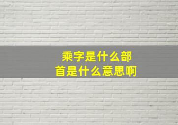 乘字是什么部首是什么意思啊