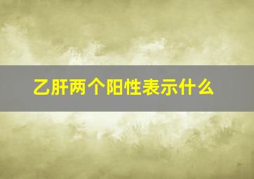 乙肝两个阳性表示什么