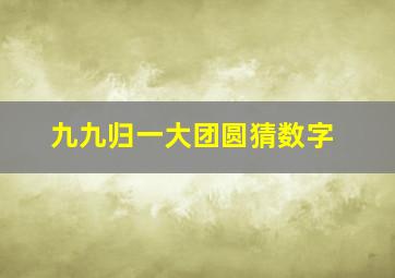 九九归一大团圆猜数字