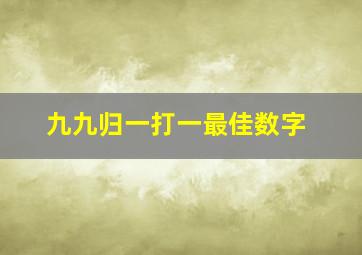 九九归一打一最佳数字