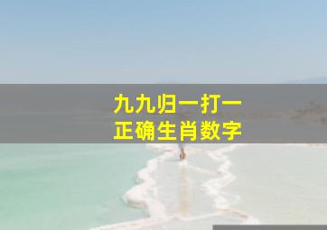 九九归一打一正确生肖数字