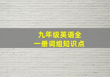 九年级英语全一册词组知识点