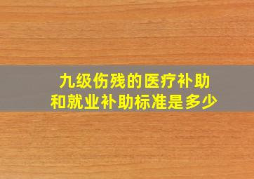 九级伤残的医疗补助和就业补助标准是多少