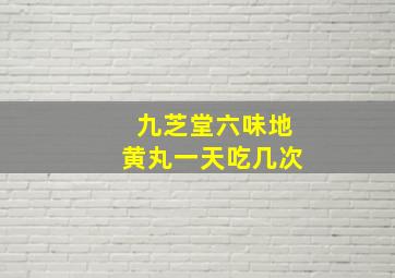 九芝堂六味地黄丸一天吃几次