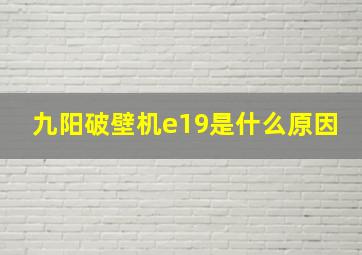 九阳破壁机e19是什么原因