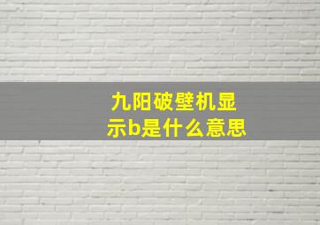 九阳破壁机显示b是什么意思