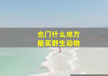 也门什么地方能买野生动物