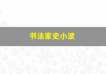 书法家史小波