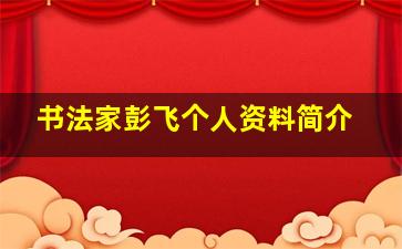 书法家彭飞个人资料简介