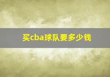 买cba球队要多少钱