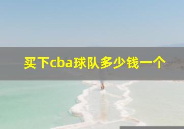 买下cba球队多少钱一个