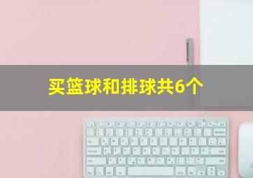 买篮球和排球共6个