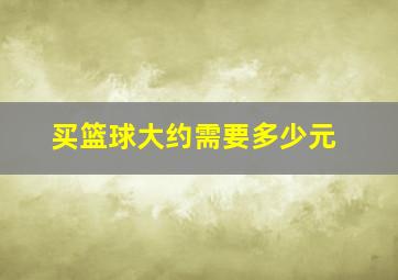 买篮球大约需要多少元