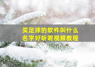 买足球的软件叫什么名字好听呢视频教程