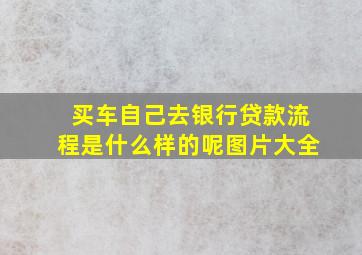 买车自己去银行贷款流程是什么样的呢图片大全