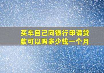 买车自己向银行申请贷款可以吗多少钱一个月