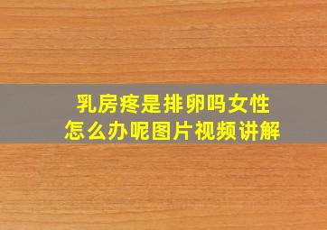 乳房疼是排卵吗女性怎么办呢图片视频讲解