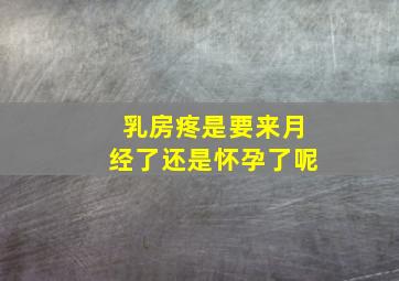 乳房疼是要来月经了还是怀孕了呢