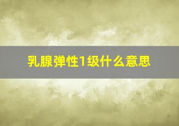 乳腺弹性1级什么意思