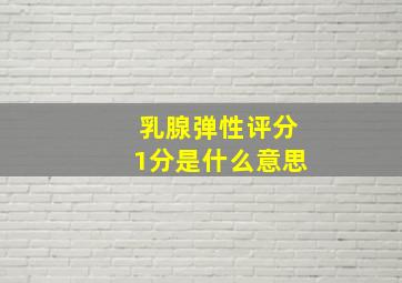 乳腺弹性评分1分是什么意思