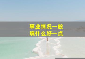 事业情况一般填什么好一点