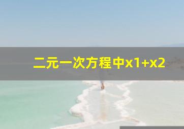 二元一次方程中x1+x2