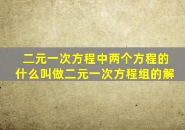 二元一次方程中两个方程的什么叫做二元一次方程组的解