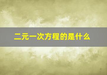 二元一次方程的是什么