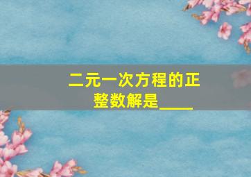 二元一次方程的正整数解是____