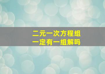 二元一次方程组一定有一组解吗