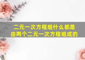 二元一次方程组什么都是由两个二元一次方程组成的