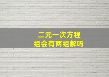 二元一次方程组会有两组解吗